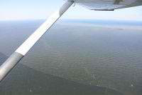 Las aguas marinas cubiertas del crudo derramado por BP cerca de Southwest Pass, en Louisiana.  / Crédito:Erika Blumenfeld/IPS