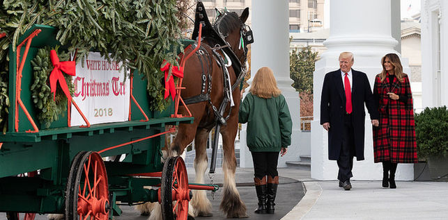 Donald y Melania Trump reciben en diciembre el árbol de Navidad instalado en la Casa Blanca.