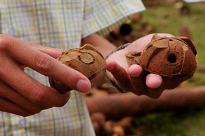 Hoja de datos de la bomba de racimo | Legados de guerra